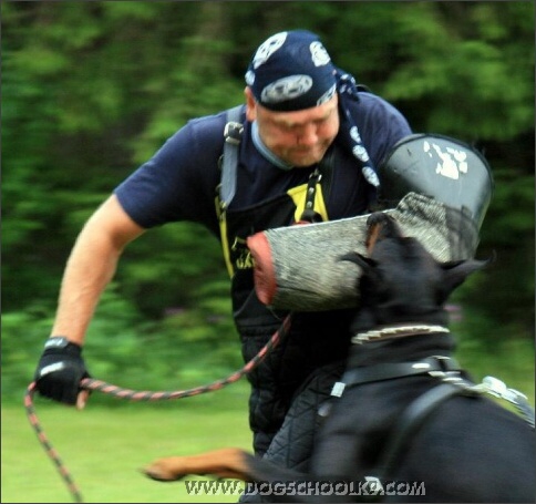 Summer training camp in Estonia 2007